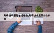专项技术服务包括哪些,专项技术属于什么科目